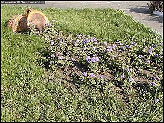    Город украшает себя