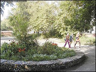    Город украшает себя