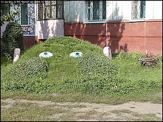    Город украшает себя