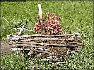    Город украшает себя