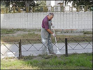    Город украшает себя