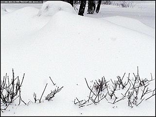    Снегопад в Барнауле