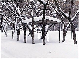    Снегопад в Барнауле