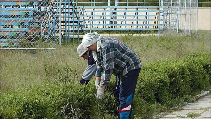    III краевая летняя профессионально-спортивная Олимпиада работников лесного хозяйства Алтая