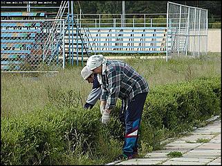    III краевая летняя профессионально-спортивная Олимпиада работников лесного хозяйства Алтая