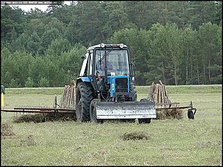    III краевая летняя профессионально-спортивная Олимпиада работников лесного хозяйства Алтая