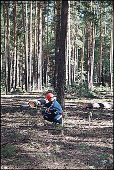    III краевая летняя профессионально-спортивная Олимпиада работников лесного хозяйства Алтая