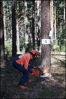    III краевая летняя профессионально-спортивная Олимпиада работников лесного хозяйства Алтая