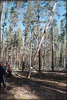    III краевая летняя профессионально-спортивная Олимпиада работников лесного хозяйства Алтая