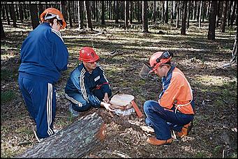    III краевая летняя профессионально-спортивная Олимпиада работников лесного хозяйства Алтая