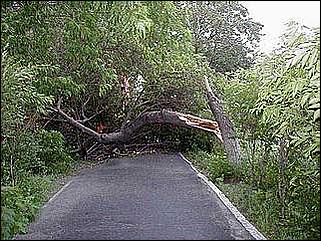    Буря в Барнауле. 03 июня 2001.