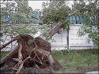    Буря в Барнауле. 03 июня 2001.