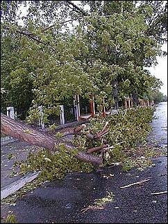    Буря в Барнауле. 03 июня 2001.