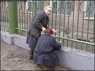    Городской субботник