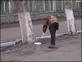    Городской субботник