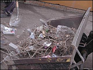    Городской субботник