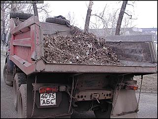    Городской субботник