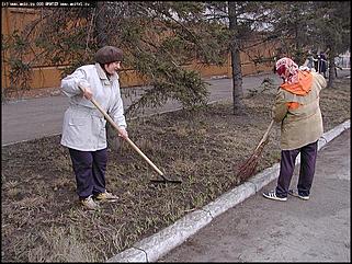    Городской субботник