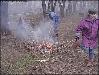    Городской субботник