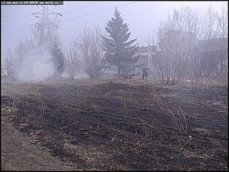    Городской субботник