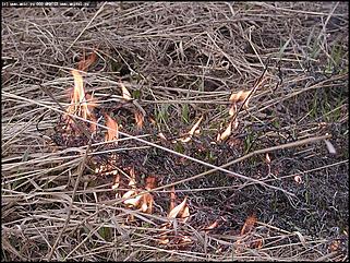    Городской субботник