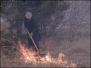    Городской субботник