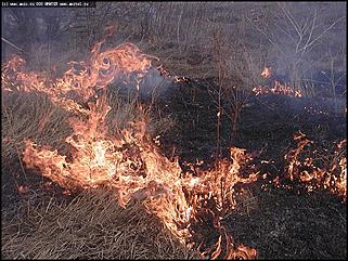    Городской субботник