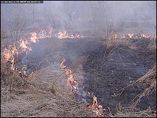    Городской субботник