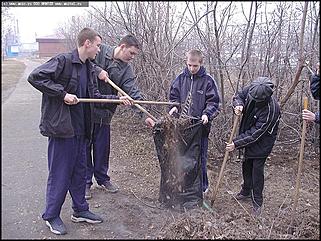    Городской субботник