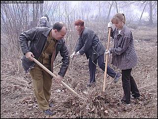    Городской субботник