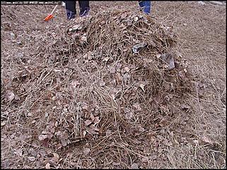    Городской субботник