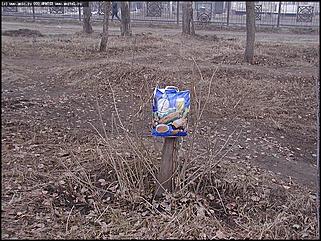    Городской субботник