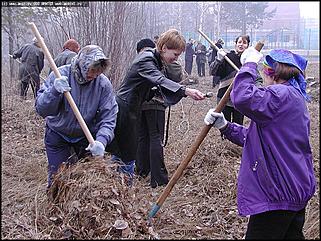    Городской субботник
