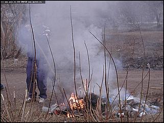    Городской субботник