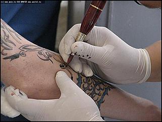    Выставка "Экзотика тела"