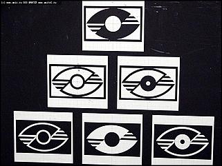    Выставка "Экзотика тела"