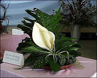    Городу 270 лет