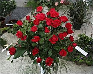    Городу 270 лет