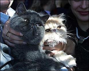    Городу 270 лет