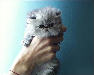    Городу 270 лет