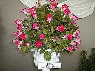    Барнаул 2001. День города.