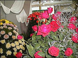    Барнаул 2001. День города.