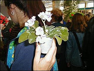    Барнаул 2001. День города.