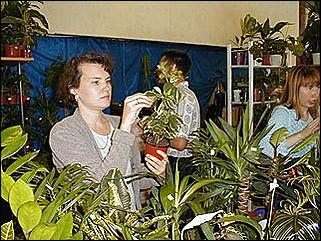    Барнаул 2001. День города.