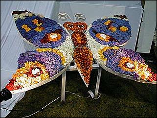    Барнаул 2001. День города.