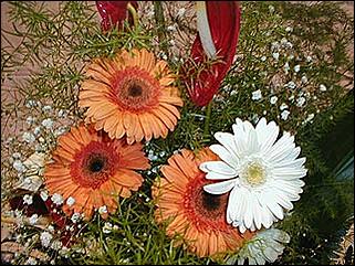    Барнаул 2001. День города.