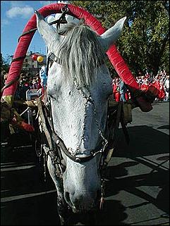    Барнаул 2001. День города.