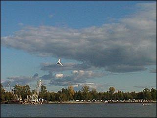    Барнаул 2001. День города.