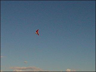    Барнаул 2001. День города.