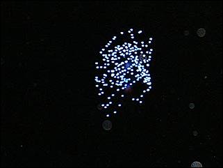    Барнаул 2001. День города.